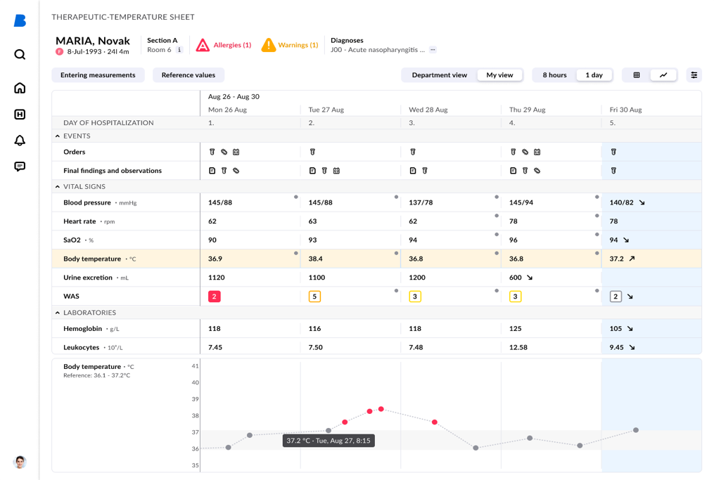Patient Flowsheet Interface