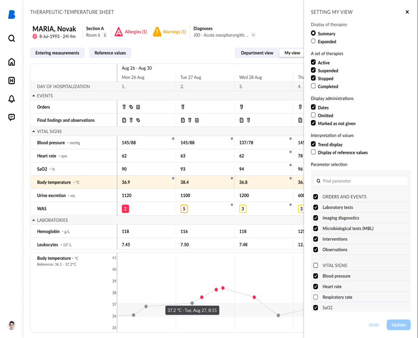 Patient Flowsheet Interface