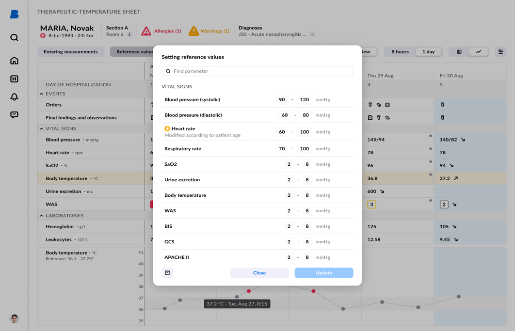 Patient Flowsheet Interface